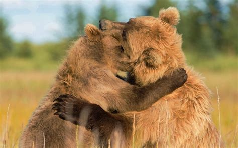 Bear hug